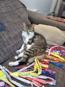 20250612_120657_Original